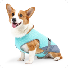 warehouse_workers_tracking_total_sales_and_order_growth_with_a_tablet