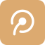 pin_icon
